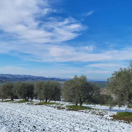Dimora In Francigena Hotel San Quirico d'Orcia Ngoại thất bức ảnh