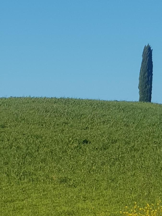 Dimora In Francigena Hotel San Quirico d'Orcia Ngoại thất bức ảnh