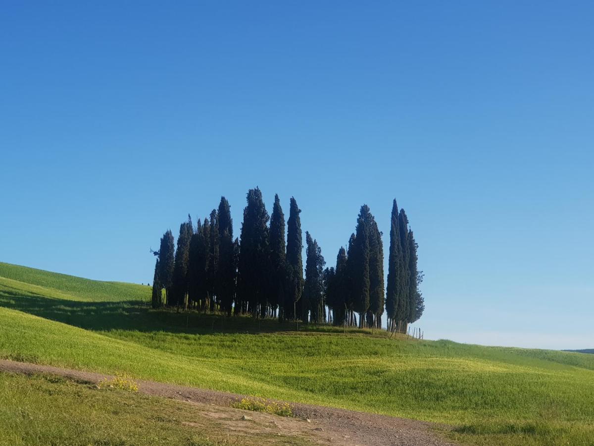 Dimora In Francigena Hotel San Quirico d'Orcia Ngoại thất bức ảnh