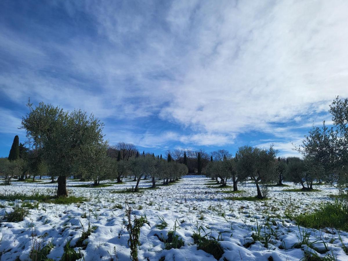 Dimora In Francigena Hotel San Quirico d'Orcia Ngoại thất bức ảnh